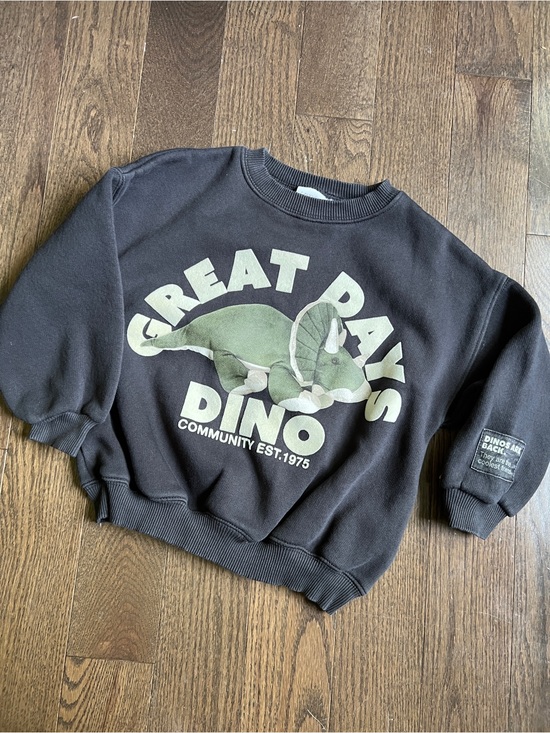 Zara Other - Zara great days Dino plush letters crewneck sweatshirt kids size 5